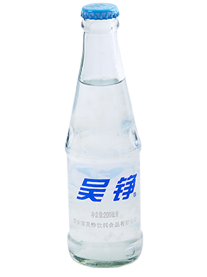 椰果果粒風(fēng)味飲料